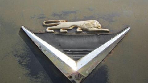 Boneyard - The-Boneyard29.jpg