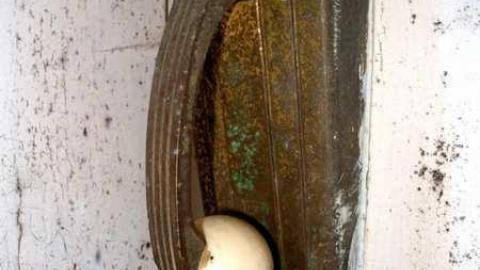 Fiddleing Time To Do - RussellChristie-House162.jpg