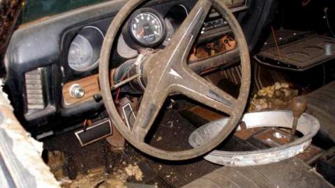 Fiddleing Time To Do - RussellChristie-House172.jpg