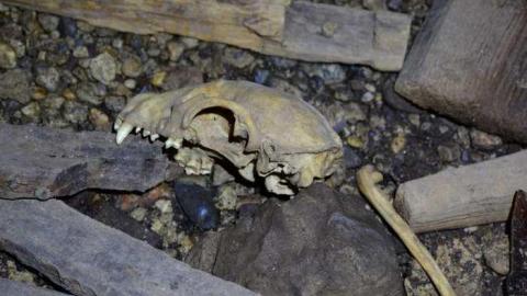 Aug 2014 - Hortop-Mill10.jpg