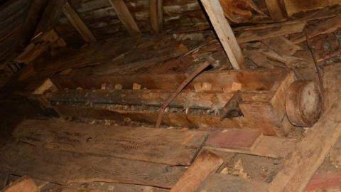 Aug 2014 - Hortop-Mill59.jpg