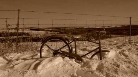 Photo from Shiloh when I was young