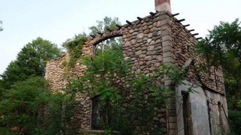 Aug '14 - DSC07373.jpg