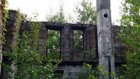 Aug '14 - DSC07386.jpg