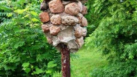 Aug '14 - DSC07391.jpg