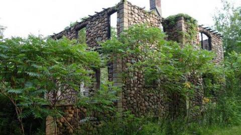 Aug '14 - DSC07410.jpg