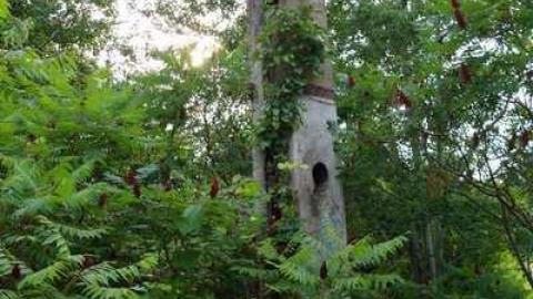 Aug '14 - DSC07422.jpg