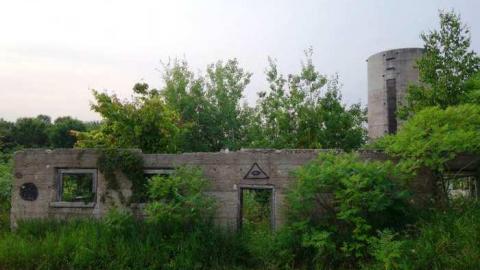 Aug '14 - DSC07435.jpg