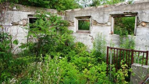 Aug '14 - DSC07442.jpg