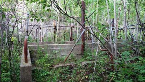 Aug '14 - DSC07443.jpg