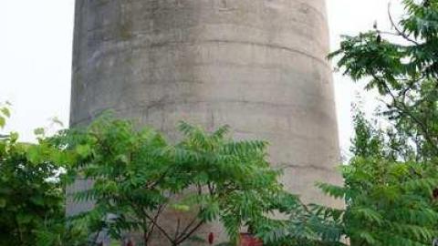 Aug '14 - DSC07462.jpg