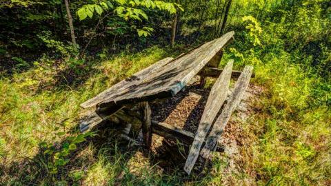 August 2014 - BBQ-and-Truck7.jpg