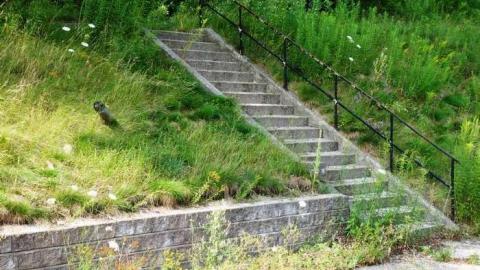 Aug '14 - CFB-Edgar408.jpg