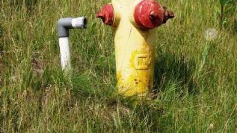 Aug '14 - CFB-Edgar260.jpg