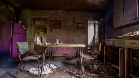 Overgrow - Love of Purple-7299.jpg