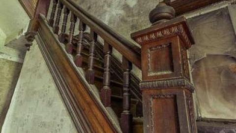 Overgrow - Love of Purple-7313.jpg