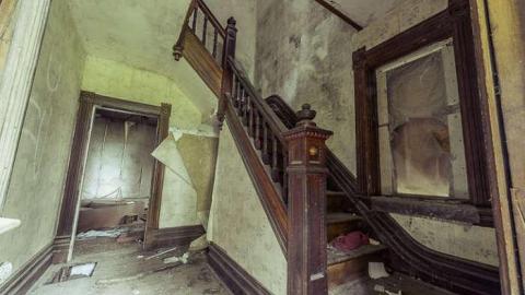 Overgrow - Love of Purple-7314.jpg