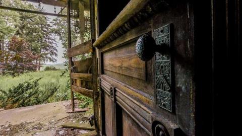 Overgrow - Love of Purple-7329.jpg