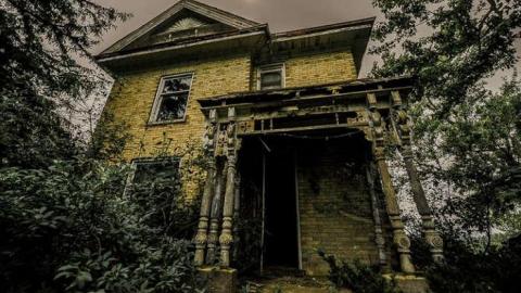 Overgrow - Love of Purple-7332.jpg