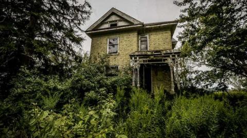 Overgrow - Love of Purple-7338.jpg