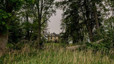 Overgrow - Love of Purple-7344.jpg