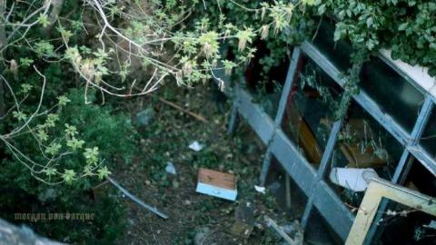 May 2014 - Alderwood-Collegiate-Institute221.jpg