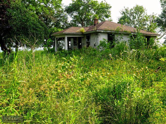 Spider's Nest - SC1.jpg