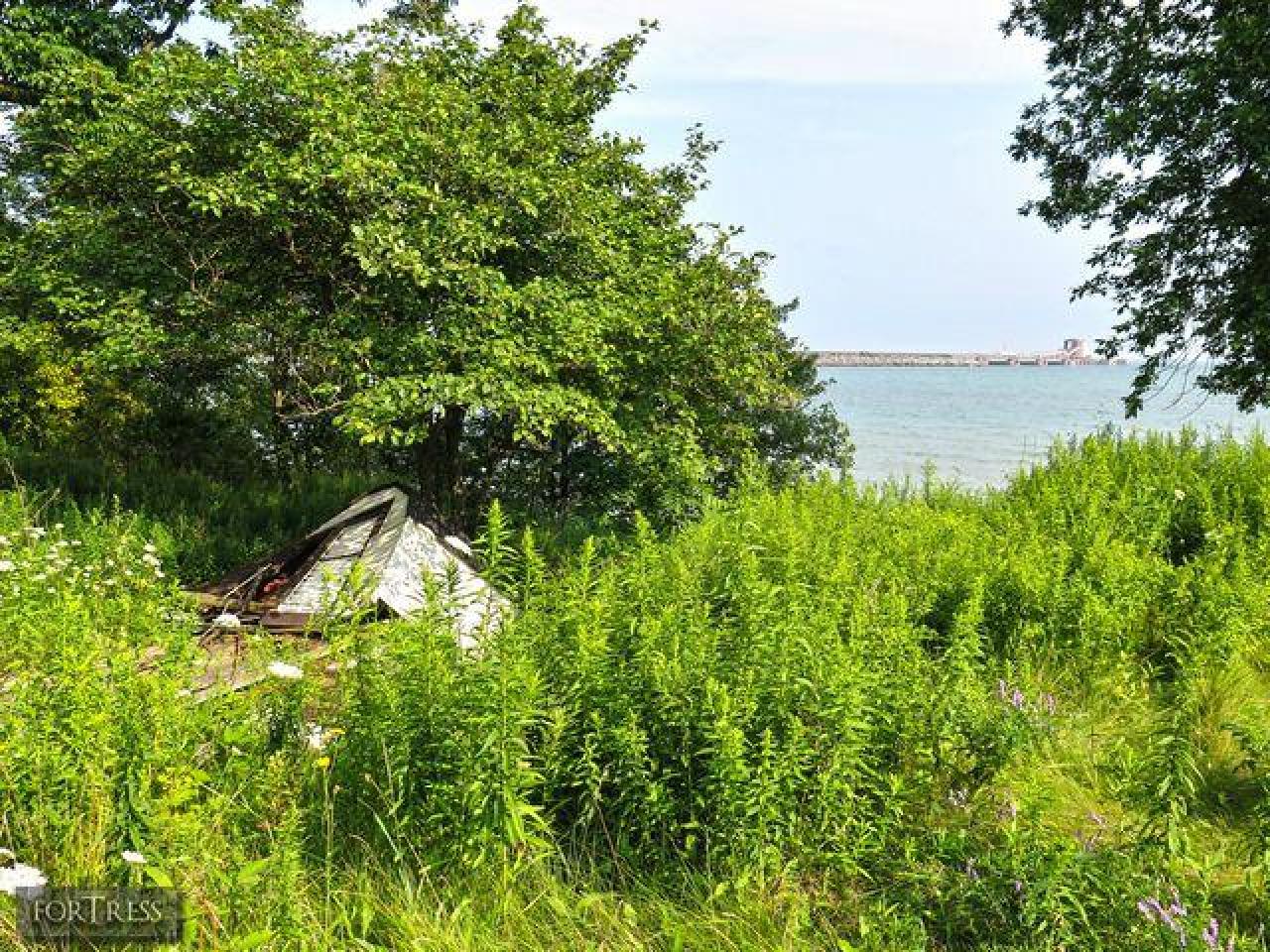 Spider's Nest - SC2.jpg