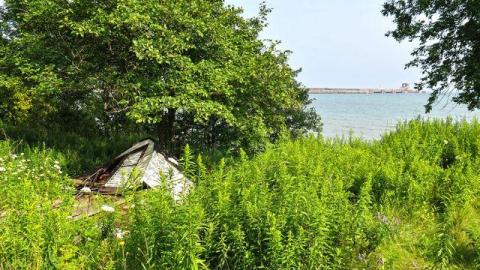 Coal-Fire Casualty (1) photo 2