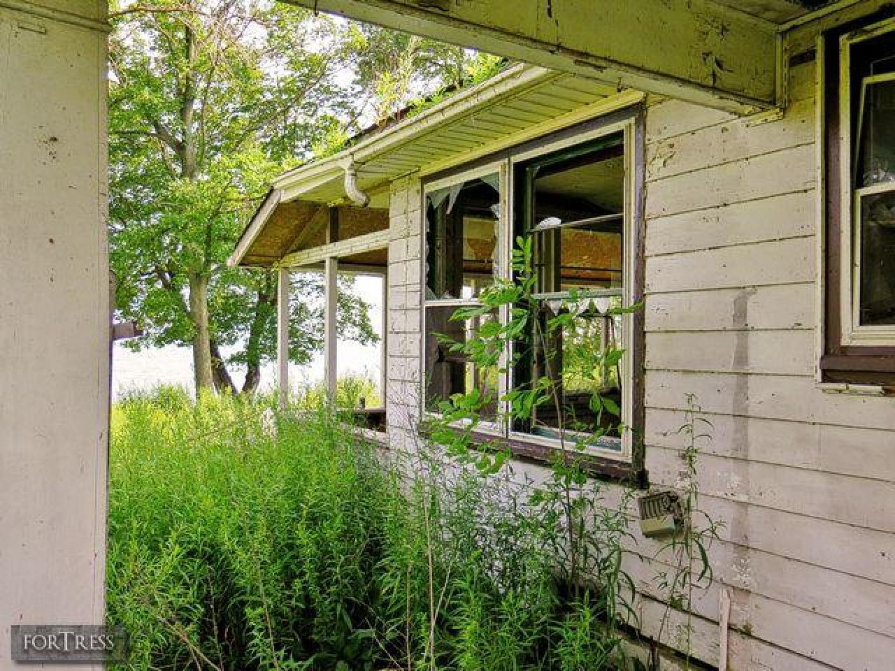 Spider's Nest - SC4.jpg