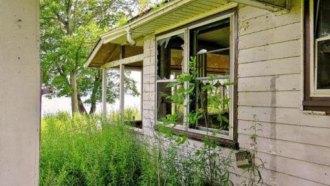 Coal-Fire Casualty (1) photo 4