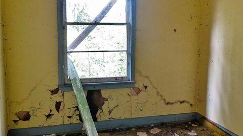 Coal-Fire Casualty (1) photo 5