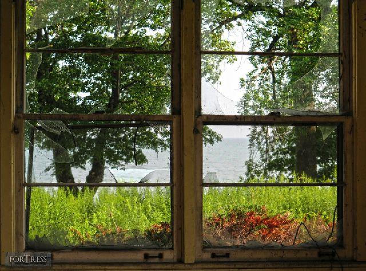 Spider's Nest - SC7.jpg