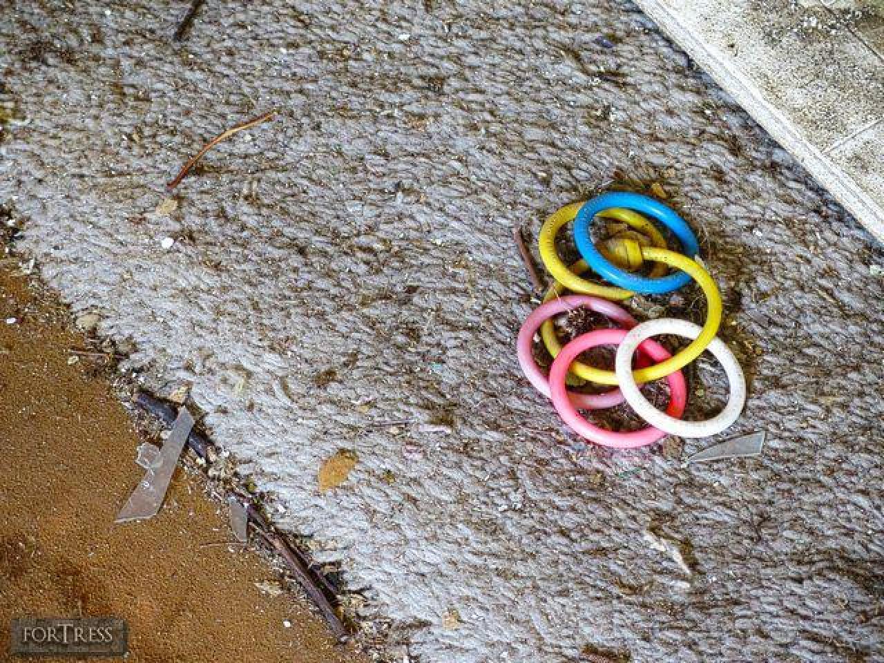 Spider's Nest - SC11.jpg