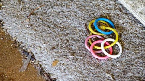 Spider's Nest - SC11.jpg