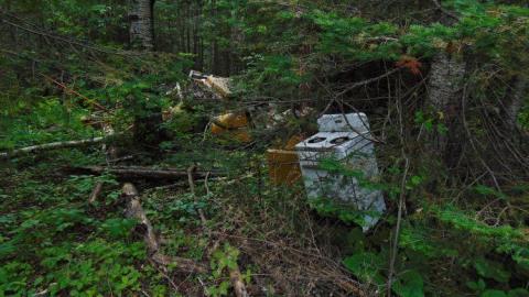 Padres Cabin - Padres-Abandoned-Cabin12.jpg