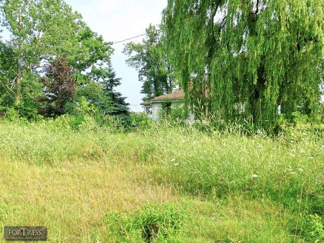 Hornet's Nest - HC1.jpg