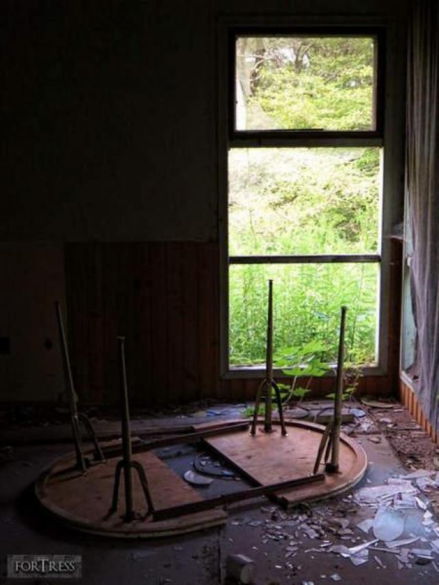 Hornet's Nest - HC3.jpg