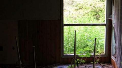 Coal-Fire Casualty (2) photo 3