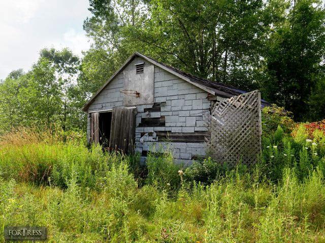 Hornet's Nest - HC8.jpg