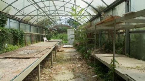 August 2014 - European-Wicker-Imports95.jpg