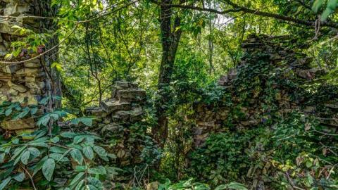 August 2014 - Buttermilk-Falls-Sawmill14.jpg