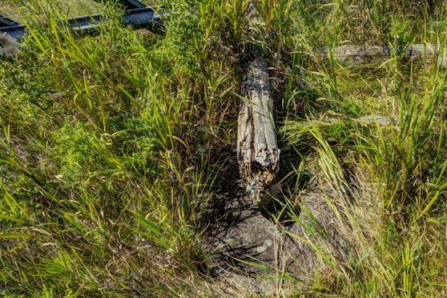 Buttermilk Falls Sawmill photo 4