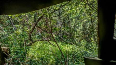 August 2014 - Buttermilk-Falls-Sawmill11.jpg