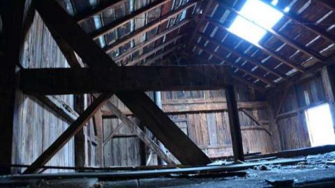 Aug 2014 - DSC_9795.jpg