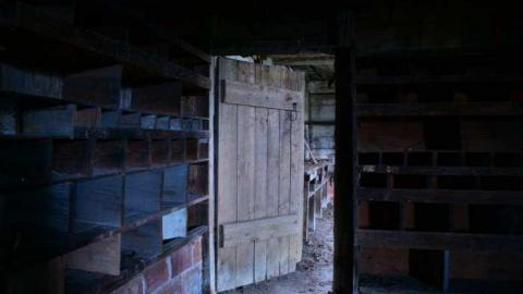 Aug 2014 - DSC_9797.jpg