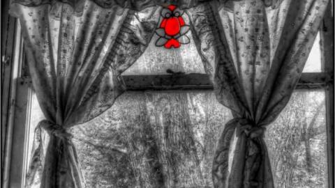 Photo from 2nd Round of Visuals