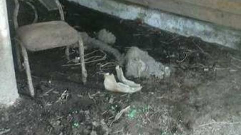 A few photos. 2014 - Colgan-Death-Farm61.jpg