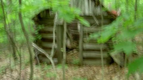 Photo from Extra Oxtongue Soup