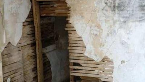 Aug '14 - 8th-Line-Farm68.jpg